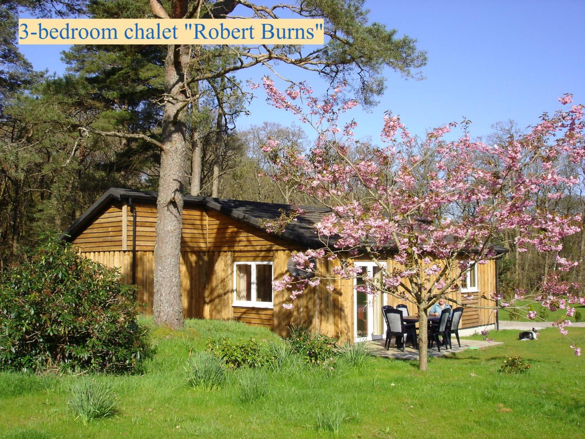 טיינולט Airdeny Chalets חדר תמונה